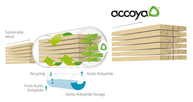 Accoya Blog IMAGE